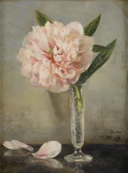 Still Life with a Peony